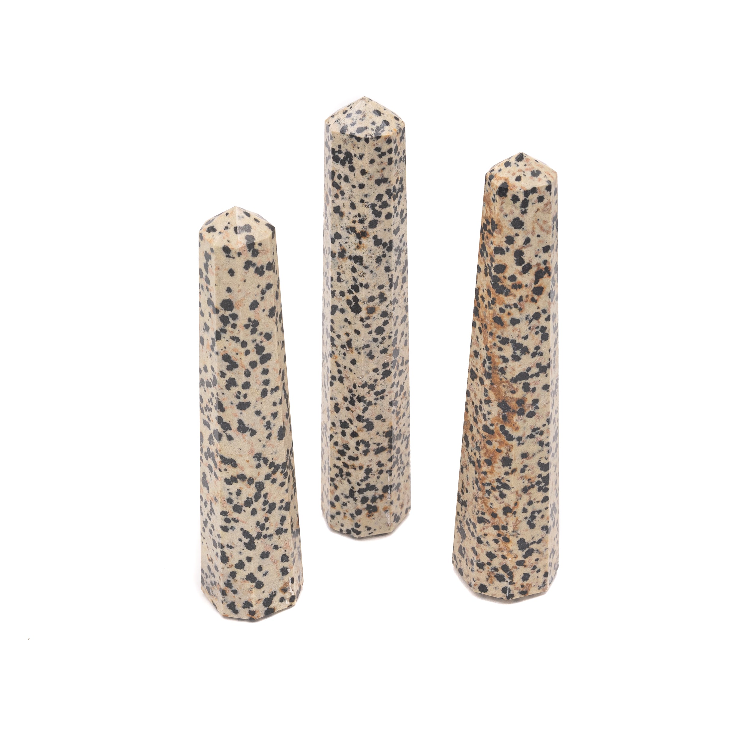 Jasper - Dalmatian Generator $35